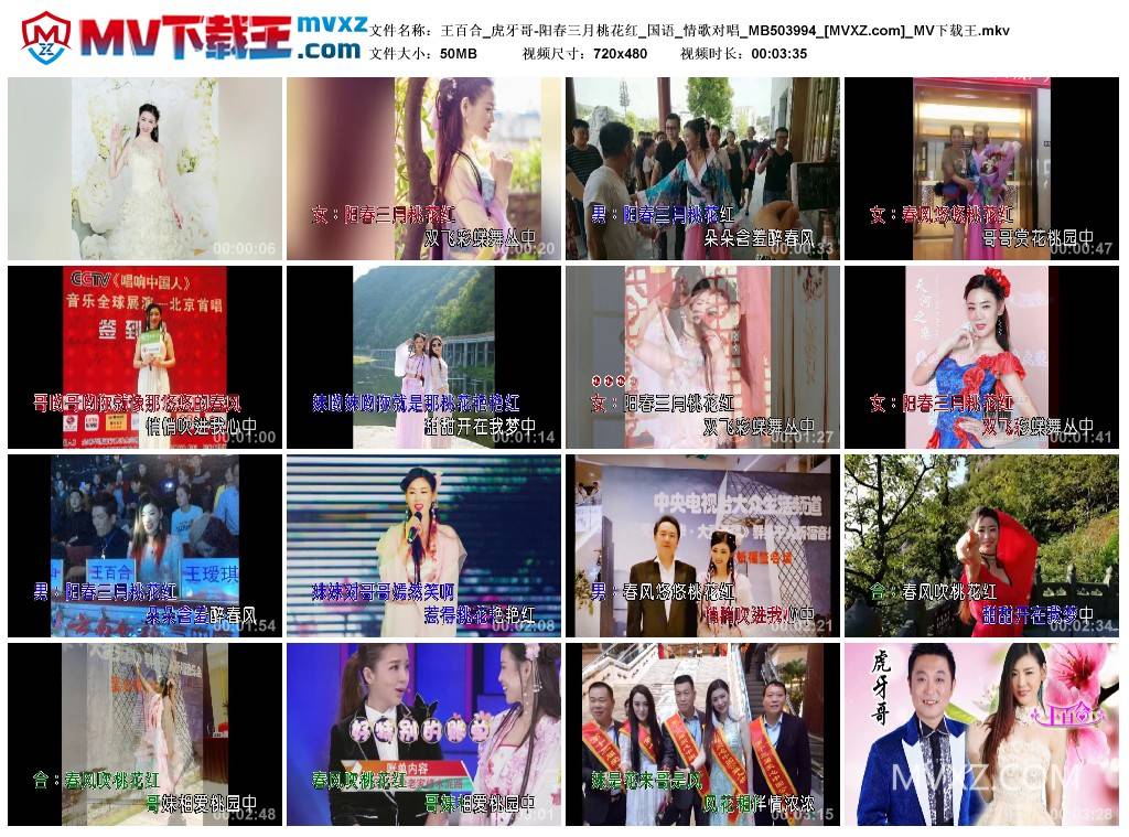 王百合_虎牙哥-阳春三月桃花红_国语_情歌对唱_MB503994